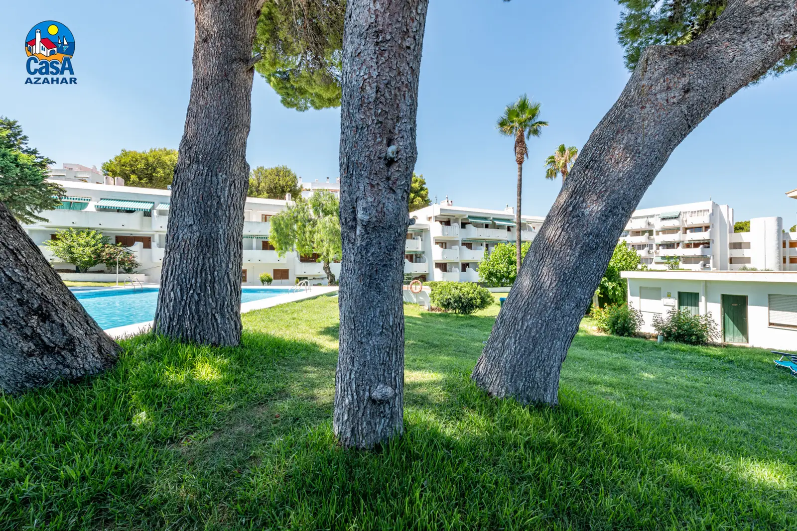 Jardin avec pins et piscine de la résidence Arcos II à Las Fuentes, Alcossebre